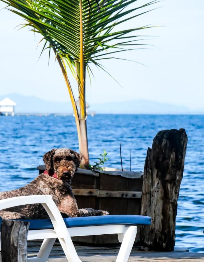 Barrbra Bnb Over The Sea Bocas Town Ngoại thất bức ảnh